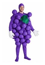 Purple Grapes Mens Costume Main 2