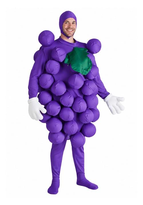 Purple Grapes Mens Costume Main 2