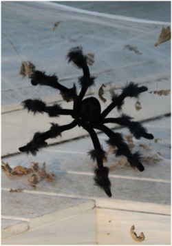 20 inch Poseable Black Spider
