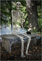 Realistic Posable Skeleton