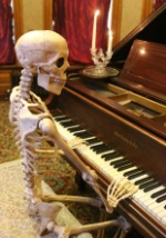 Realistic Posable Skeleton