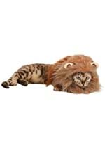 Lion Pet Costume Alt 1