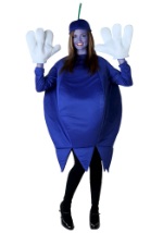 Blueberry Adult Costume