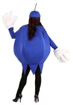 Adult Blueberry Costume Alt 3