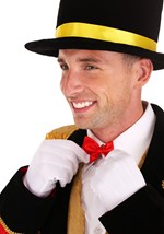 Men's Ringmaster Costume