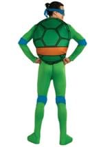 Adult Classic TMNT Leonardo Costume Alt 1