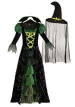 Womens Storybook Witch Costume