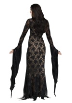 Lace Morticia Adult Costume 2