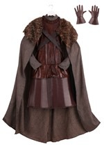 Plus Size Northern King Costume Alt 2