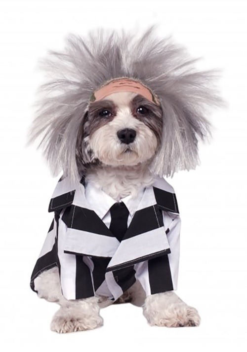 Beetlejuice Pet Costume