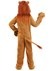 Deluxe Lion Kids Costume