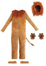 Plus Size Deluxe Lion Costume Alt 1