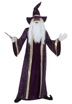 Purple Wizard Adult Costume