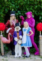 Deluxe Cheshire Cat Costume for Adults 3