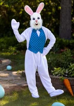 Happy Easter Mascot Bunny Costume
