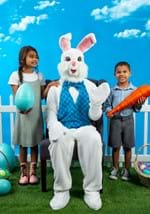 Mascot Easter Bunny Costume Alt 1