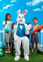 Plus Size Mascot Easter Bunny Adult Costume