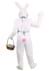 Plus Size Mascot Easter Bunny Adult Costume