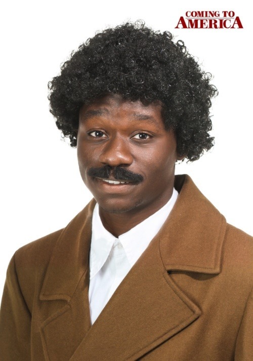 Coming to America Adult Soul Glo Wig