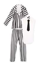 Plus Size Beetlejuice Costume