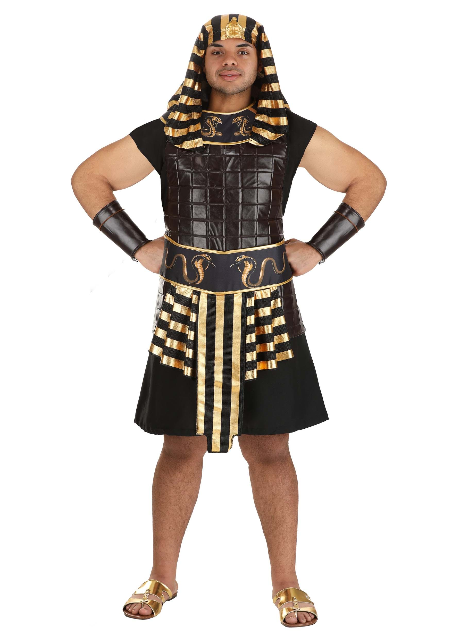 Ancient Plus Size Pharaoh Costume For Men , Pharaoh Costumes