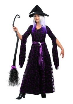 Purple Moon Witch Women's Plus Size Costume