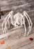 42" Skeleton Spider Alt 2
