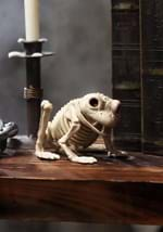 Halloween Decoration Skeleton Frog 