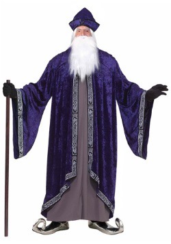 Plus Size Royal Wizard Costume For Adults