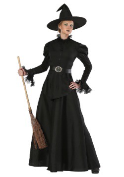 Womens Plus Size Classic Black Witch Costume