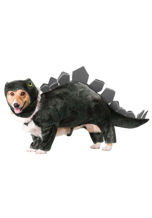 Stegosaurus Dog Costume