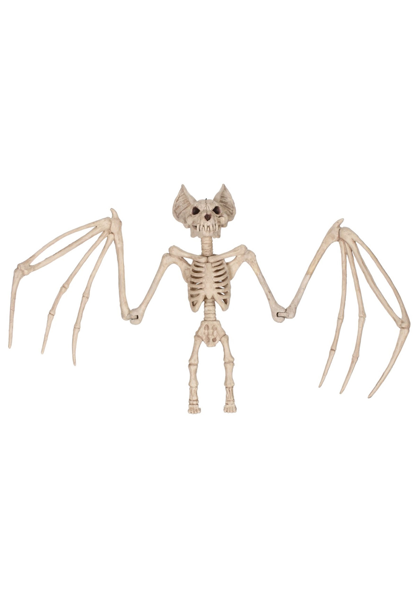 36-Inch Nocturnal Bat Skeleton Decoration | Animal Skeletons