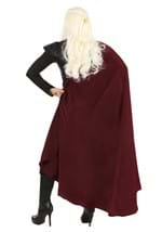 Women's Dragon Warrior Costume Alt 4