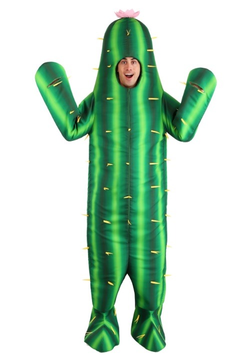 Adult Cactus Costume