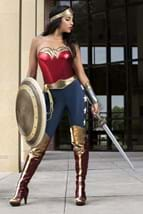  DC Wonder Woman Adult Costume