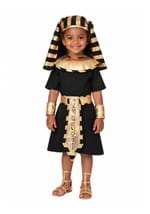 Egyptian Pharaoh Costume for Toddlers new