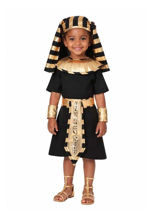Egyptian Pharaoh Costume for Toddlers new