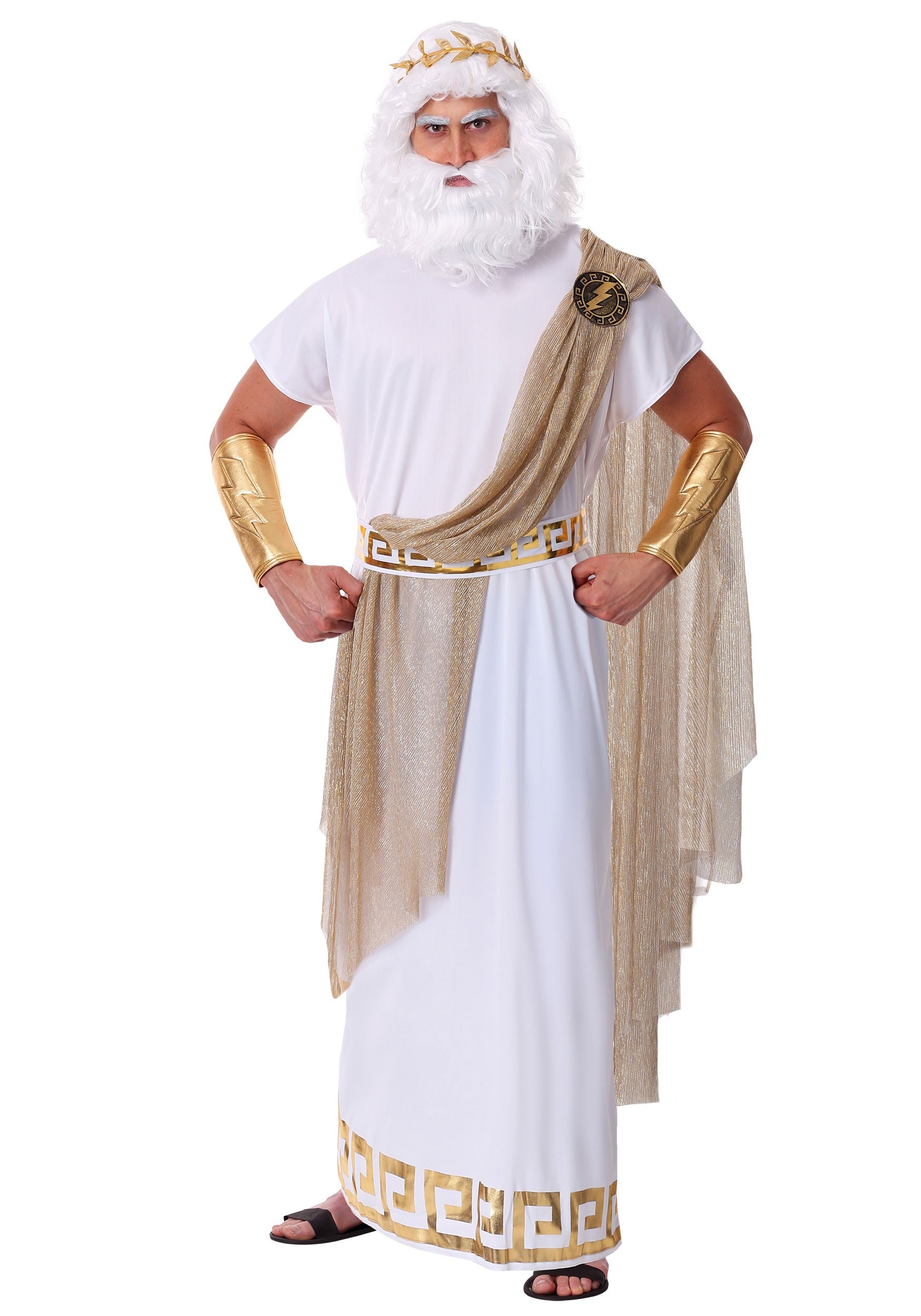 Plus Size Zeus Men's Costume