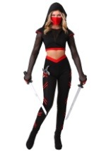 Womens Alluring Assassin Costume