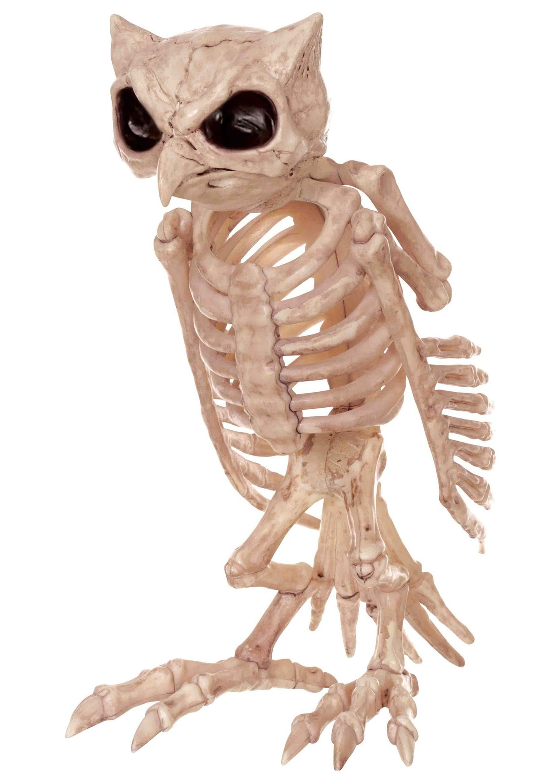 Halloween Owl Skeleton Decoration , Skeleton Decorations