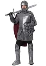 Mens Royal Knight Costume