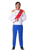 Men's Plus Size Charming Prince Costume