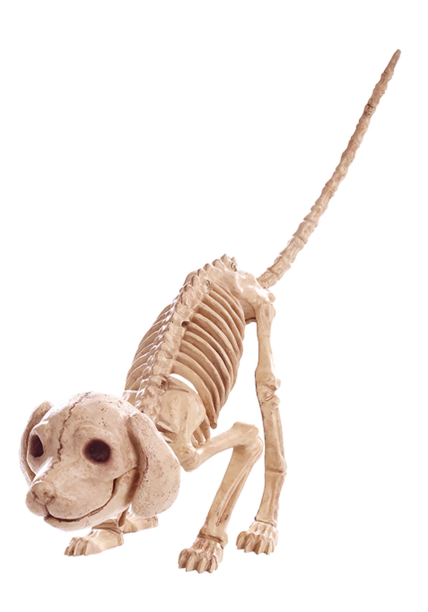 7.5 Inch Puppy Skeleton Decoration , Skeleton Prop