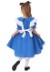 Toddler Girls Alice Costume Deluxe