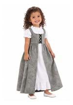 Toddler Renaissance Faire Dress Main 1