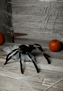 Giant Jumping Spider Decoration 36''_Update