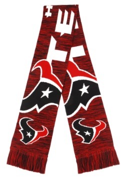 Houston Texans Wordmark Big Logo Colorblend Scarf