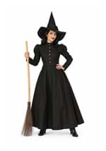 Deluxe Wicked Witch Costume New Main