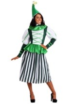 Plus Size Deluxe Munchkin Woman Costume