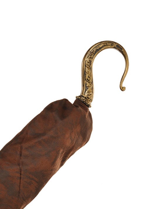 Pirate Deluxe Hook